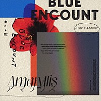 ＢＬＵＥ　ＥＮＣＯＵＮＴ「 アマリリス」