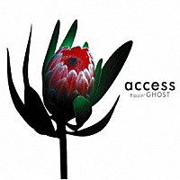 ａｃｃｅｓｓ「 Ｒｉｐｐｉｎ’　ＧＨＯＳＴ　－Ｒｅｍａｓｔｅｒｅｄ　Ｅｄｉｔｉｏｎ－」