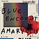 ＢＬＵＥ　ＥＮＣＯＵＮＴ「アマリリス」