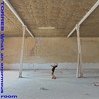 ＴＯＲＲＥＳ「 Ｗｈａｔ　ａｎ　ｅｎｏｒｍｏｕｓ　ｒｏｏｍ」