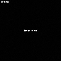 菊地雅晃スターマイン「 波紋」