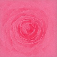 ＲＡＹ「 Ｃａｍｅｌｌｉａ」