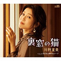 川野夏美「 裏窓の猫」