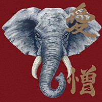 炙りなタウン「 愛憎」