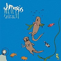 Ｊ　ＭＡＳＣＩＳ「 ＷＨＡＴ　ＤＯ　ＷＥ　ＤＯ　ＮＯＷ」