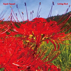 ＳＱＵＩＴ　ＳＱＵＡＤ「Ｌｉｖｉｎｇ　Ｒｅｄ」