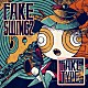 ＦＡＫＥ　ＴＹＰＥ．「ＦＡＫＥ　ＳＷＩＮＧ　２」