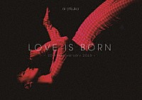 大塚愛「 ＬＯＶＥ　ＩＳ　ＢＯＲＮ　～２０ｔｈ　Ａｎｎｉｖｅｒｓａｒｙ　２０２３～」