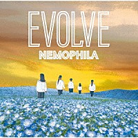 ＮＥＭＯＰＨＩＬＡ「 ＥＶＯＬＶＥ」