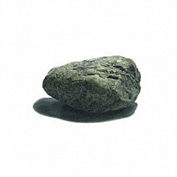 家主「石のような自由」