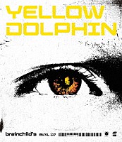 ｂｒａｉｎｃｈｉｌｄ’ｓ「 ＹＥＬＬＯＷ　ＤＯＬＰＨＩＮ」