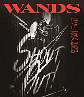 ＷＡＮＤＳ「 ＷＡＮＤＳ　Ｌｉｖｅ　Ｔｏｕｒ　２０２３　～ＳＨＯＵＴ　ＯＵＴ！～」