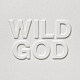 ＮＩＣＫ　ＣＡＶＥ　＆　ＴＨＥ　ＢＡＤ　ＳＥＥＤＳ「ＷＩＬＤ　ＧＯＤ」