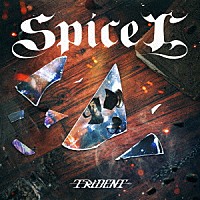 ＴＲｉＤＥＮＴ「 ｓｐｉｃｅ　“Ｘ”」