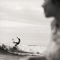 （Ｖ．Ａ．）「 ＳＡＬＴ．．．　ｍｅｅｔｓ　ＩＳＬＡＮＤ　ＣＡＦＥ　ＳＥＡ　ｏｆ　ＬＯＶＥ」