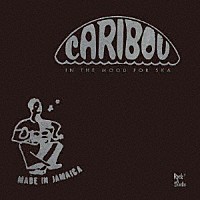 （ワールド・ミュージック）「 ＩＮ　ＴＨＥ　ＭＯＯＤ　ＦＯＲ　ＳＫＡ　－　ＣＡＲＩＢＯＵ　ＳＥＬＥＣＴＩＯＮ」