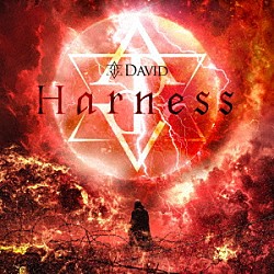 ＤＡＶＩＤ「Ｈａｒｎｅｓｓ」