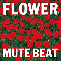 ＭＵＴＥ　ＢＥＡＴ「 ＦＬＯＷＥＲ」