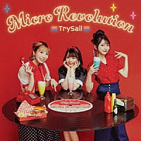 ＴｒｙＳａｉｌ「 マイクロレボリューション」