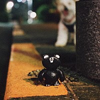 （夜と）ＳＡＭＰＯ「 モンスター」