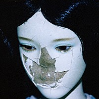 ニューダッド「 マドラー」