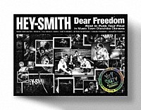 ＨＥＹ－ＳＭＩＴＨ「 Ｄｅａｒ　Ｆｒｅｅｄｏｍ　－Ｒｅｓｔ　Ｉｎ　Ｐｕｎｋ　Ｔｏｕｒ　Ｆｉｎａｌ　ｉｎ　Ｍｕｓｉｃ　Ｔｏｗｎ　Ｏｔｏｉｃｈｉｂａ　Ｏｋｉｎａｗａ－」