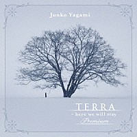 八神純子「 ＴＥＲＲＡ　－　ｈｅｒｅ　ｗｅ　ｗｉｌｌ　ｓｔａｙ　Ｐｒｅｍｉｕｍ」