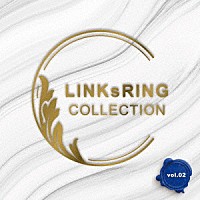 （Ｖ．Ａ．）「 ＬＩＮＫｓＲＩＮＧ　Ｃｏｌｌｅｃｔｉｏｎ　ＶＯＬ２」