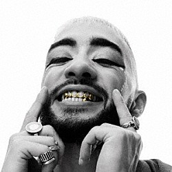 ＳＯＦＩＡＮＥ　ＰＡＭＡＲＴ「ＮＯＣＨＥ　（ＤＥＬＵＸＥ）」