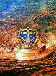 Ｓｕｐｅｒｆｌｙ「Ｒｉｄｅ　ｔｈｅ　Ｗａｖｅ　～Ｌｉｖｅ　＆　Ｄｏｃｕｍｅｎｔａｒｙ～」