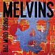 ＭＥＬＶＩＮＳ「ＢＡＤ　ＭＯＯＤ　ＲＩＳＩＮＧ（１２月上旬～１２月下旬発売予定）」