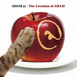 ＡＤＡＭ　ａｔ「Ｔｈｅ　Ｃｒｅａｔｉｏｎ　ｏｆ　ＡＤＡＭ」