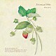 Ａｋｉｎｏ　Ａｒａｉ「Ｂｏｔａｎｉｃａｌ　Ｎｏｔｅ」