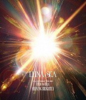 ＬＵＮＡ　ＳＥＡ「 ３５ｔｈ　ＡＮＮＩＶＥＲＳＡＲＹ　ＴＯＵＲ　２０２４　ＥＲＡ　ＴＯ　ＥＲＡ　ＳＨＩＮＩＮＧ　ＢＲＩＧＨＴＬＹ」