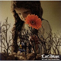 Ｌａｓｔ　Ａｌｌｉａｎｃｅ「 Ｍｅ　ａｎｄ　Ｙｏｕｒ　Ｂｏｒｄｅｒｌｉｎｅ」