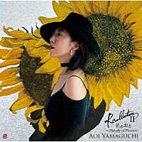 山口葵「 Ｒｅｃｏｌｌｅｃｔｉｏｎ　Ⅱ　花のおと」