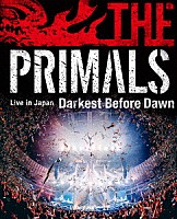 祖堅正慶，ＴＨＥ　ＰＲＩＭＡＬＳ「 ＴＨＥ　ＰＲＩＭＡＬＳ　Ｌｉｖｅ　ｉｎ　Ｊａｐａｎ　－　Ｄａｒｋｅｓｔ　Ｂｅｆｏｒｅ　Ｄａｗｎ」