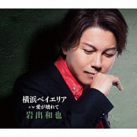 岩出和也「 横浜ベイエリア／愛が壊れて」