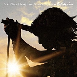 Ａｃｉｄ　Ｂｌａｃｋ　Ｃｈｅｒｒｙ「Ａｃｉｄ　Ｂｌａｃｋ　Ｃｈｅｒｒｙ　Ｌｉｖｅ　Ａｃｏｕｓｔｉｃ　Ａｌｂｕｍ　～君がいるから～」