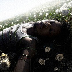 ｄ４ｖｄ「ウィザード（ジャパン・スペシャル・エディション）」