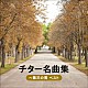 （Ｖ．Ａ．） アントン・カラス アントン・カラス　ｗｉｔｈ　寺島尚彦とリズム・シャンソネット ルーディ・クナーブル ルーディ・クナーブル　ｗｉｔｈ　ビルギット・シュスター「チター名曲集～第三の男　ベスト」