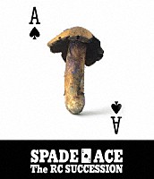 ＲＣサクセション「 スペードのエース」