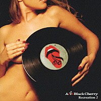 Ａｃｉｄ　Ｂｌａｃｋ　Ｃｈｅｒｒｙ「 Ｒｅｃｒｅａｔｉｏｎ　２」