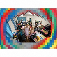 豆柴の大群「 豆３」