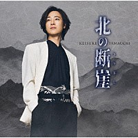 山内惠介「 北の断崖」