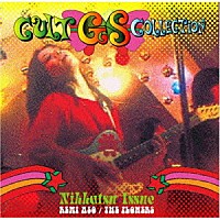 （Ｖ．Ａ．）「 カルトＧＳコレクション～日活編　麻生レミ／フラワーズ」