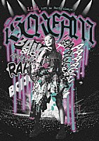 ＬｉＳＡ「 ＬｉＶＥ　ｉｓ　Ｓｍｉｌｅ　Ａｌｗａｙｓ～ｉ　ＳＣＲＥＡＭ～　ａｔ　ＮＩＰＰＯＮ　ＢＵＤＯＫＡＮ」