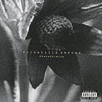 清水翔太「Ｐｕｌｓａｔｉｌｌａ　ｃｅｒｎｕａ」