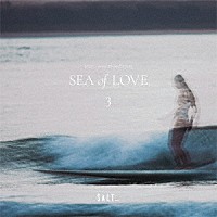 （Ｖ．Ａ．）「 ＳＡＬＴ．．．　ｍｅｅｔｓ　ＩＳＬＡＮＤ　ＣＡＦＥ　ＳＥＡ　ｏｆ　ＬＯＶＥ　３」