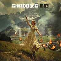 ＳＨＡＤＯＷＳ「 ＤＩＧ」